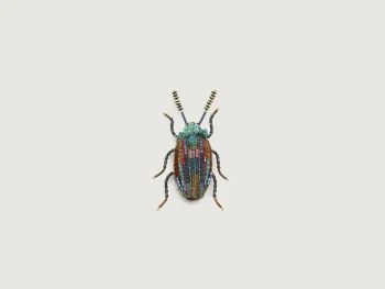 Sale Trovelore Snowdon Beetle Broche