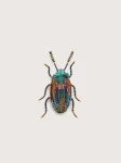trovelore-snowdon-beetle-broch-hWEqnBwn-0.webp